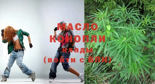 дмт Алексин