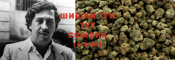 дмт Алексин